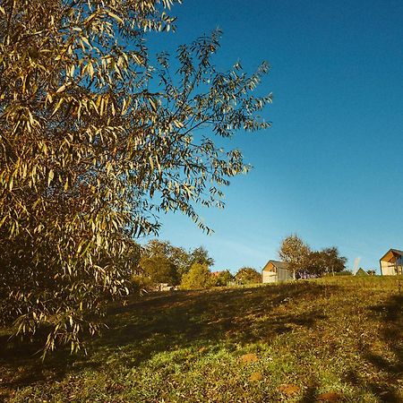 Scandinave Chalet Bran Zarnesti Exterior foto