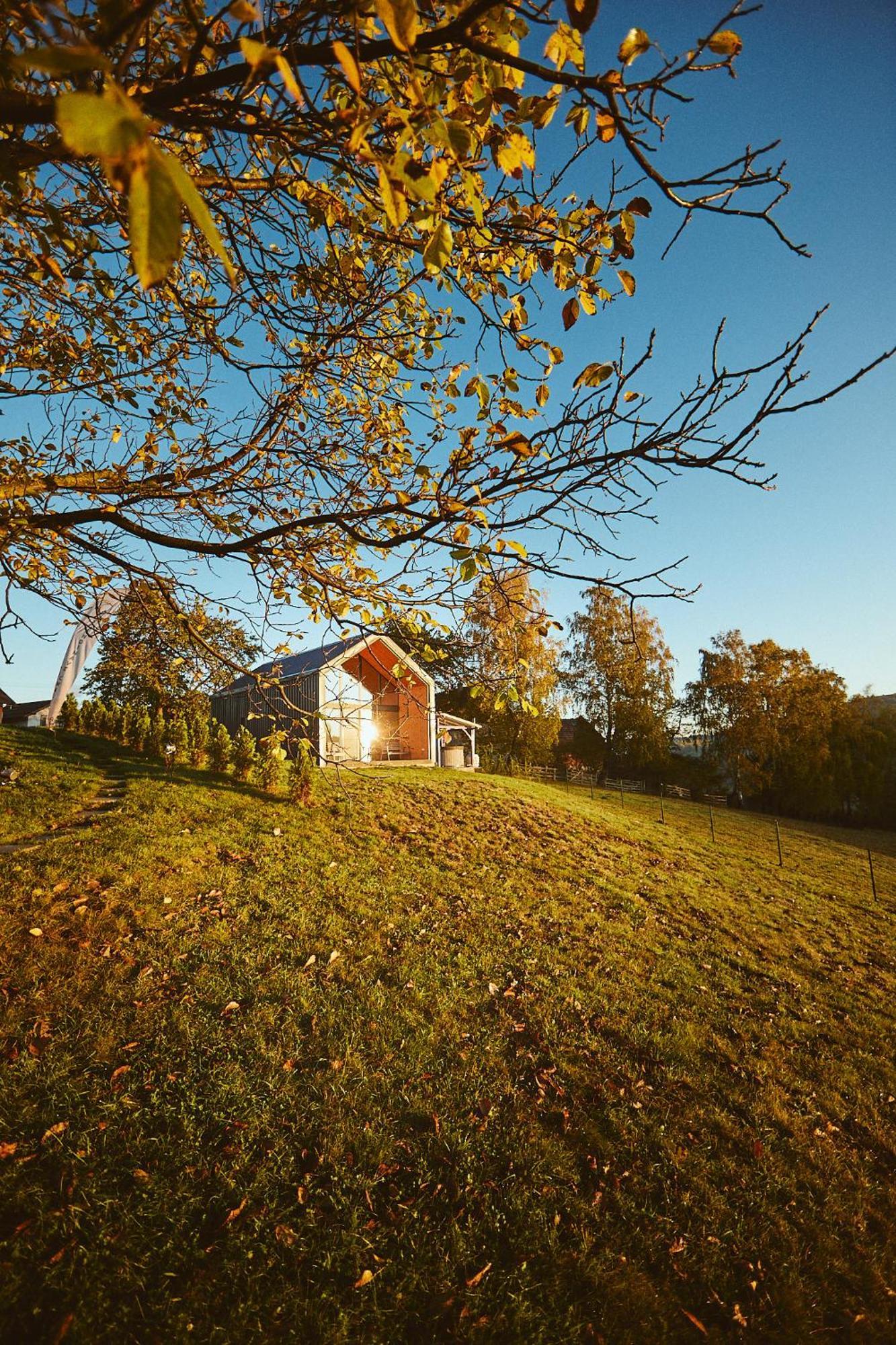 Scandinave Chalet Bran Zarnesti Exterior foto