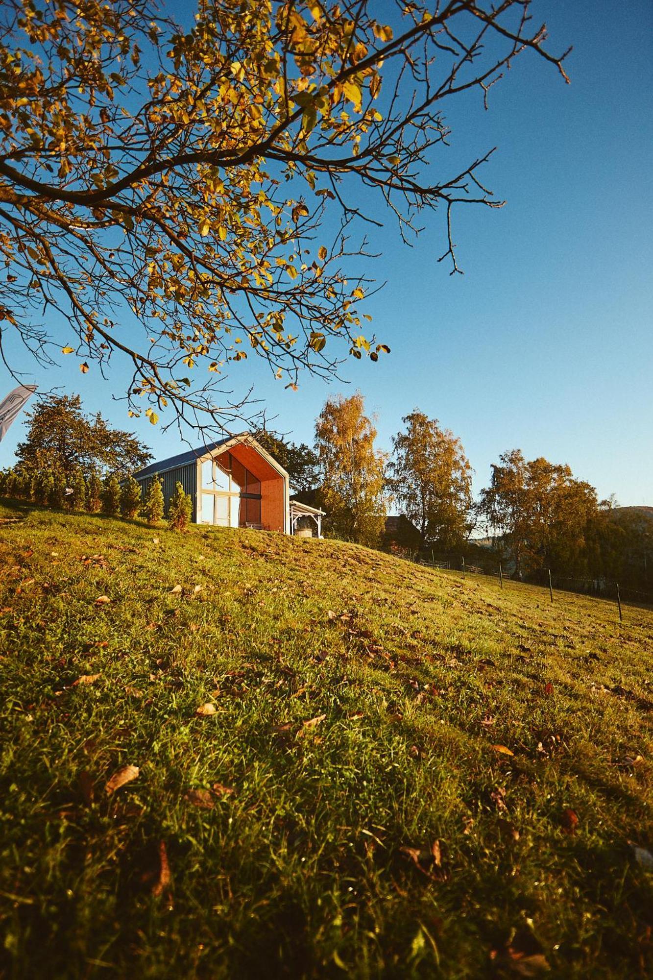 Scandinave Chalet Bran Zarnesti Exterior foto