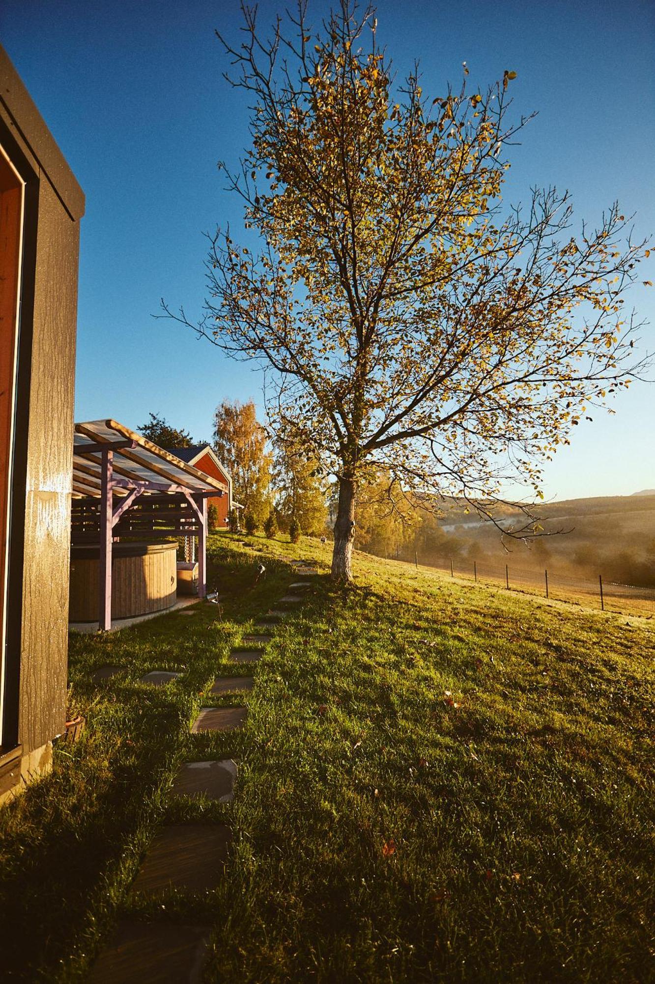 Scandinave Chalet Bran Zarnesti Exterior foto