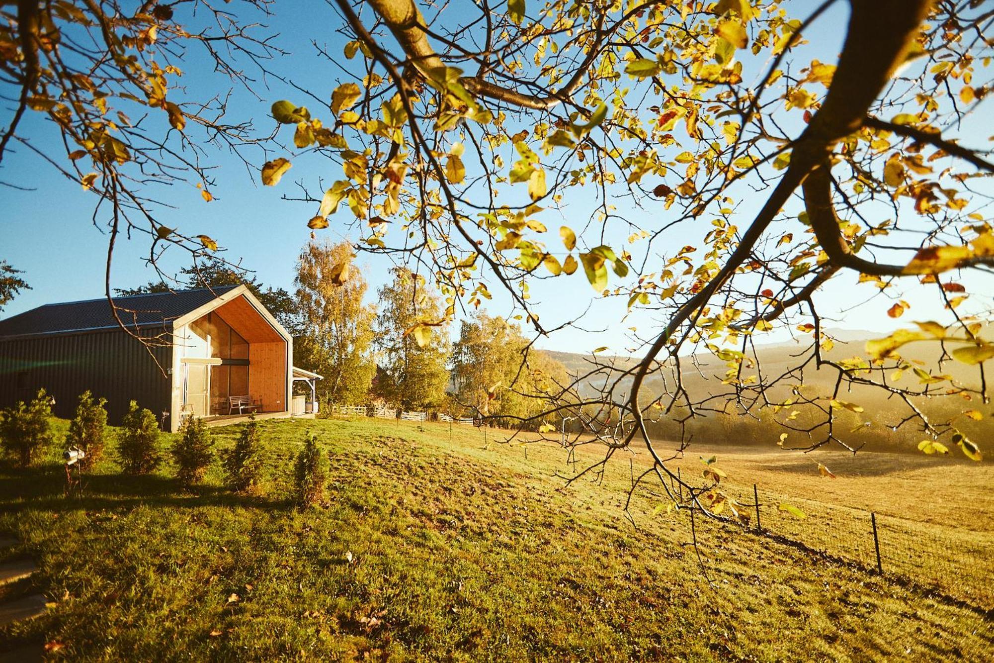 Scandinave Chalet Bran Zarnesti Exterior foto