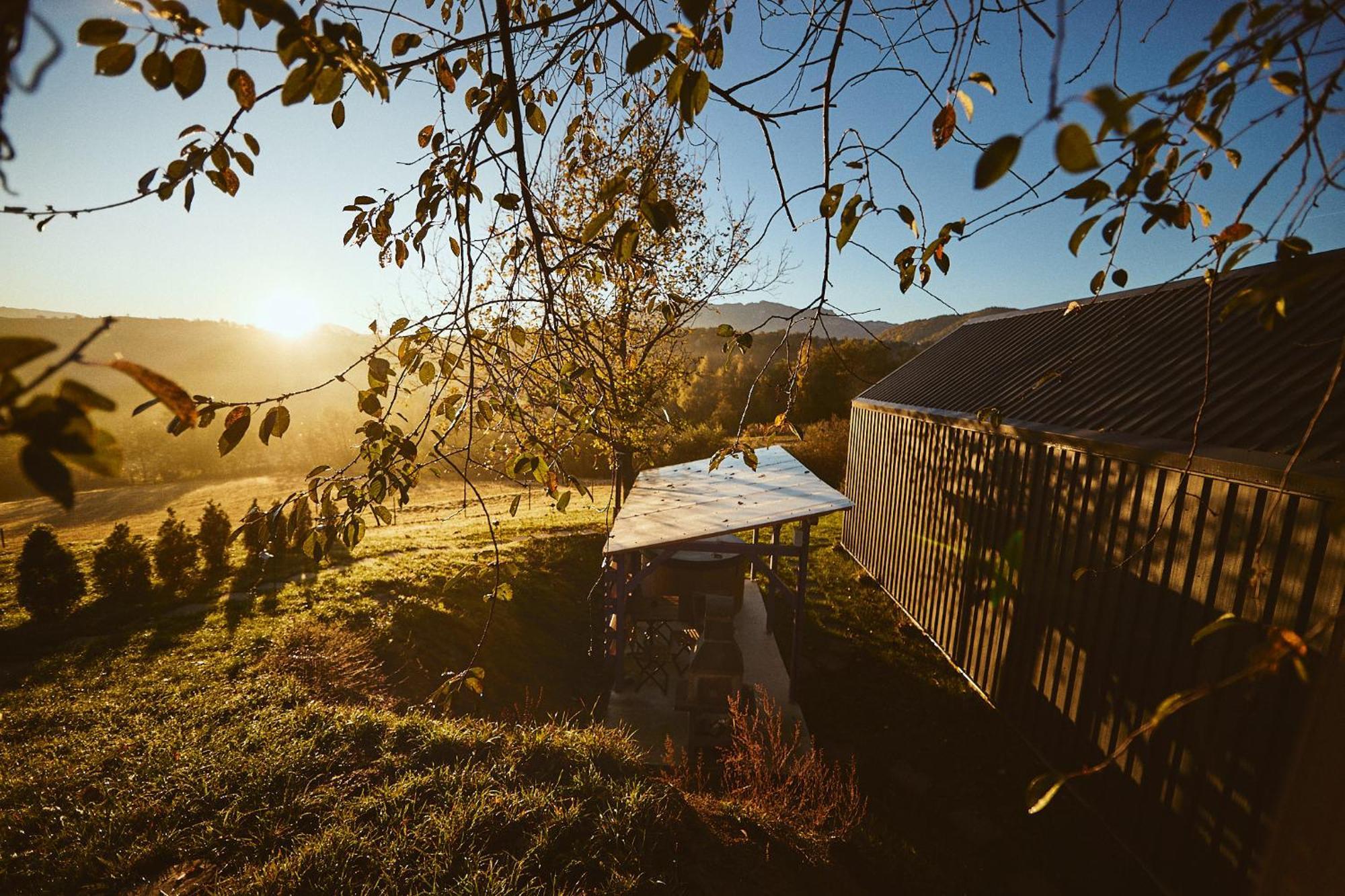 Scandinave Chalet Bran Zarnesti Exterior foto