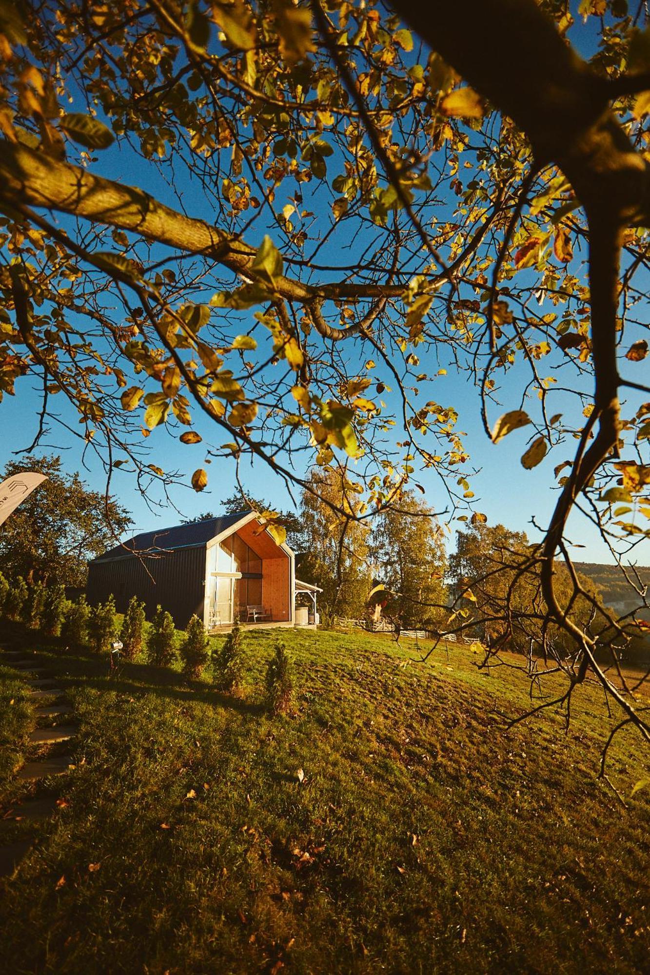 Scandinave Chalet Bran Zarnesti Exterior foto