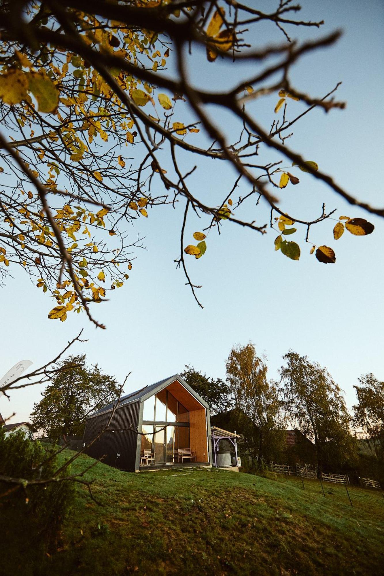 Scandinave Chalet Bran Zarnesti Exterior foto